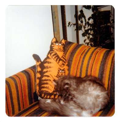 Vintage 1970's cat photo with Kliban Cat pillow