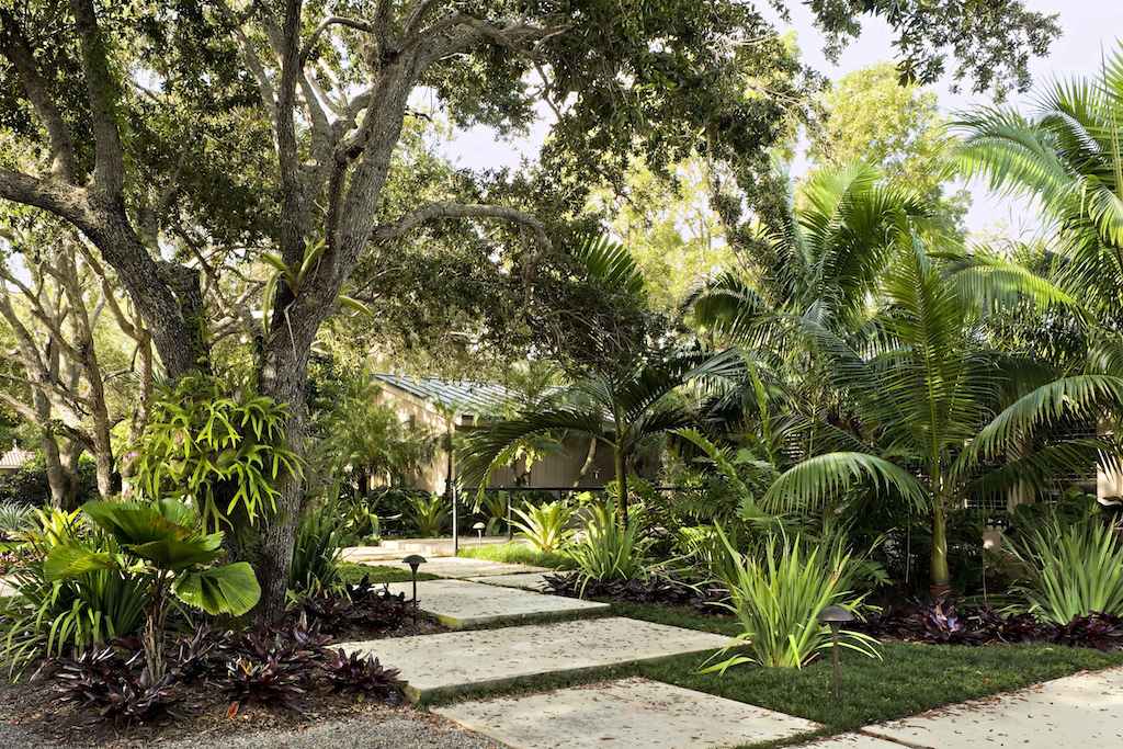 Tropical Zen Garden Design Photograph | Tropical Gardens
