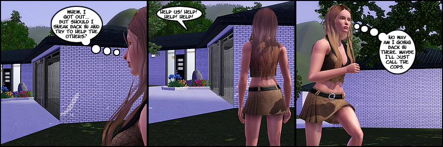 Strip27