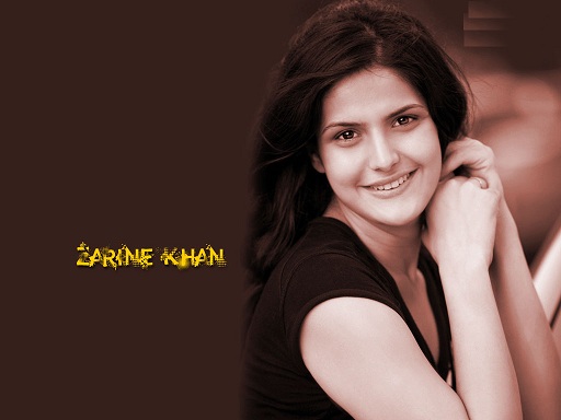zarine khan hot photos & zarine khan hot pictures
