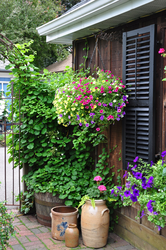 Small Space Gardens