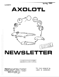 Axolotl Newsletter from Indiana University Axolotl Colony