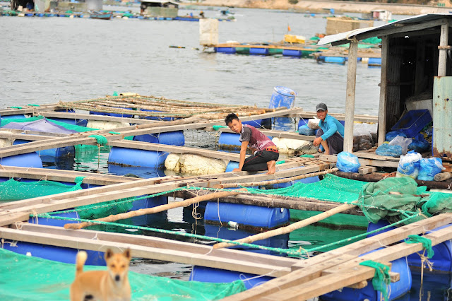 Cuộc sống hàng ngày trên làng nổi Vũng Rô 