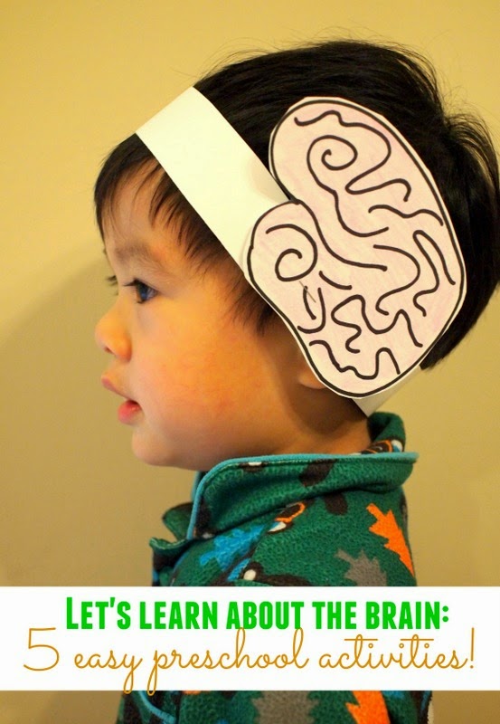 5 easy preschool activities to teach kids about the brain