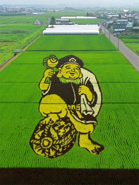 Rice Art in Japan