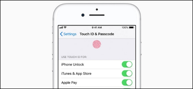 قائمة "Touch ID & Passcode" على iPhone.