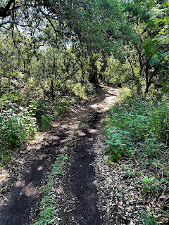 Las Moras Creek, Carpe Diem, Carp(e) Diem, Fort Clark Springs, Brackettville Texas, Texas Fly Fishing, Texas Freshwater Fly Fishing, Fly Fishing Texas, Las Moras River