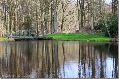28-reflections