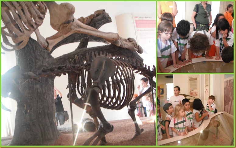 1º ano4