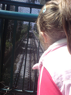 kid waiting fot the train to pass