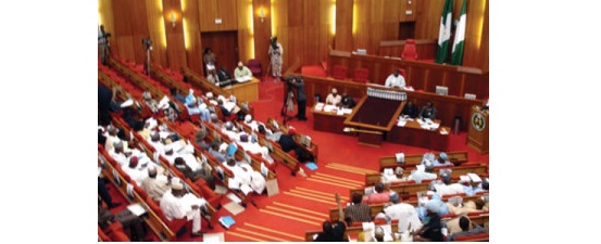Drama and confusion as Senate probe on power is disrupted by power failure eight times