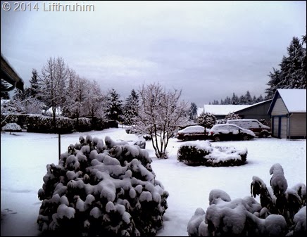 Snowy Sunday Morning 2_9_14 S is for Snow