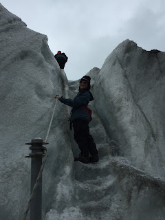 冰川行 Franz Josef Glacier