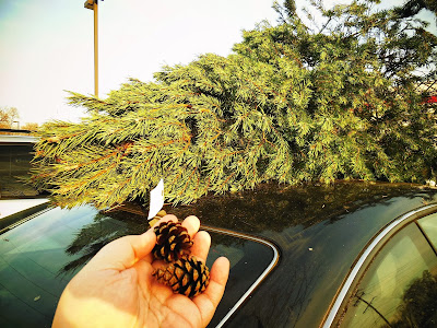 It was pre-decorated with authentic pinecones! ;)