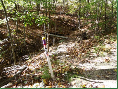 Dillon State Park 040