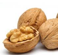 Walnut name in English, Hindi, Marathi Gujarati, Tamil, Telugu