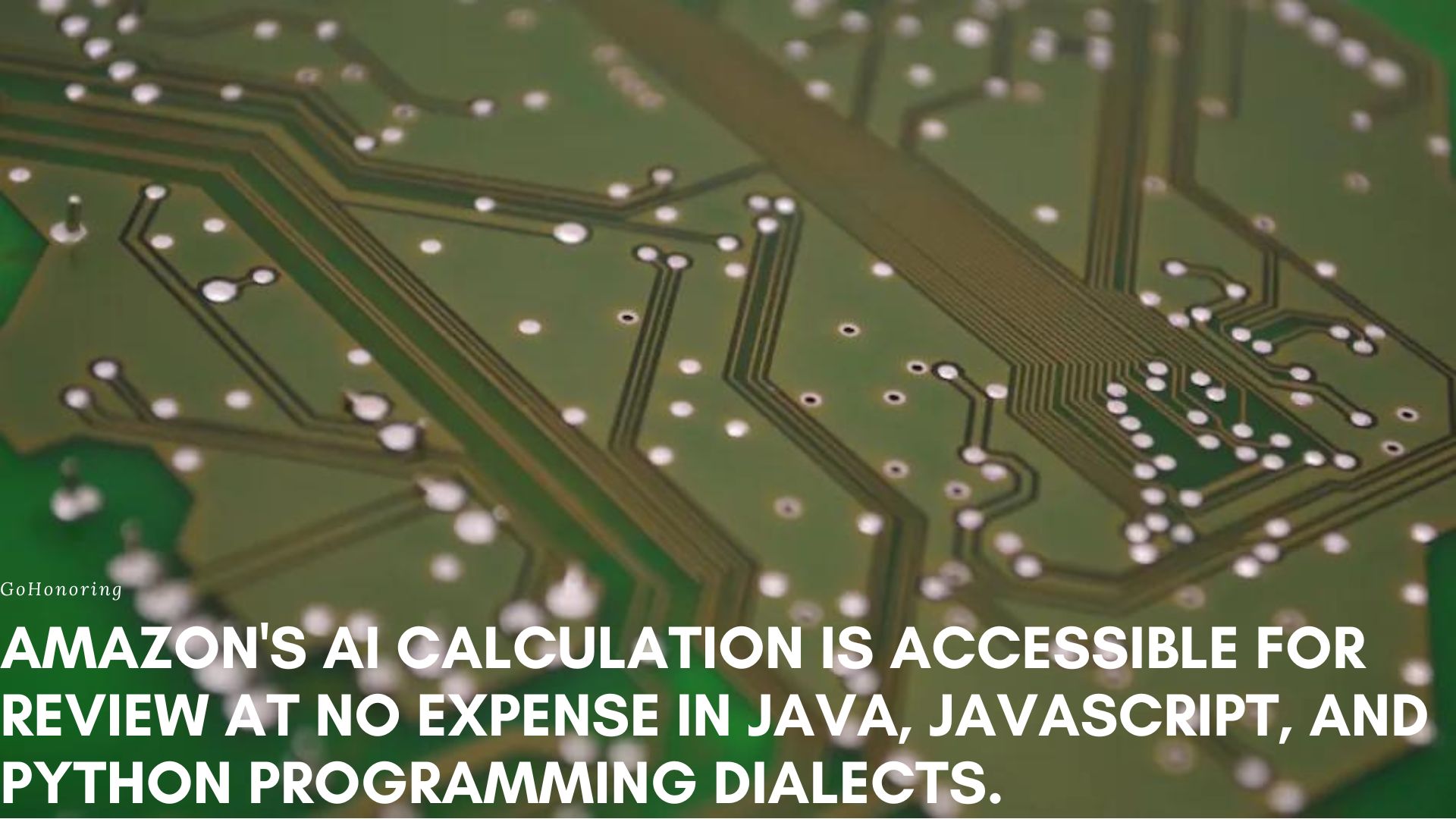 Amazon's AI calculation is accessible for review at no expense in Java, JavaScript, and Python programming dialects.