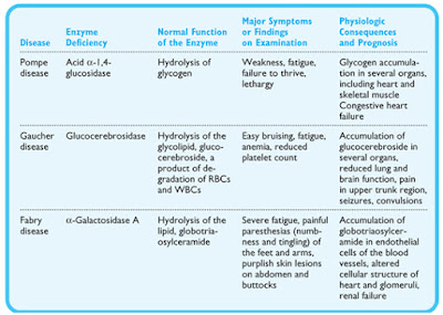 Một số tính chất của enzym