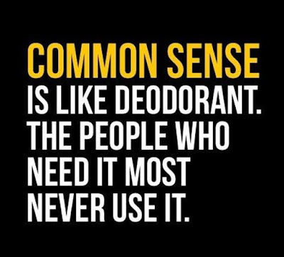 Funny And Hilarious quote On Common Sense