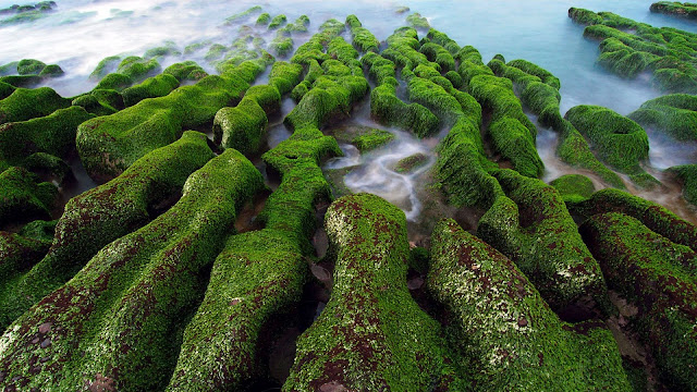 HD Desktop Wallpapers, Coast of Taiwan, Coast of Lao, North East Coast, Coast Wallpapers, Nature Wallpapers, 1600x900, 1600x900 HD Wallpapers, 1600x900 Graphics, 1600x900 Pictures, 1600x900 Wallpapers, 1600x900 Photos, 