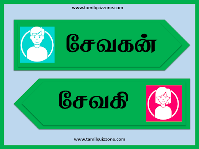 எதிர்ப்பாற் சொற்கள் தரம் 4