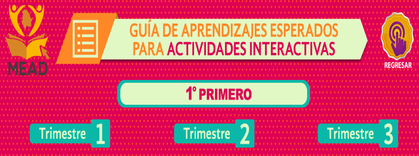 Actividades educativas interactivas para primer grado