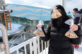 北海道 函館熱帯植物園 サル山温泉