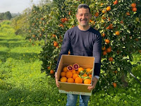 Compre aqui sua muda de frutifera enxertada.