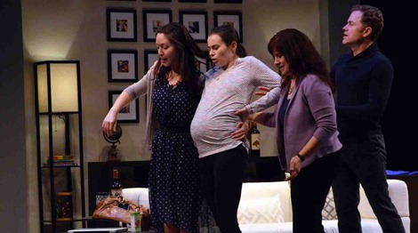Surrogate4SM