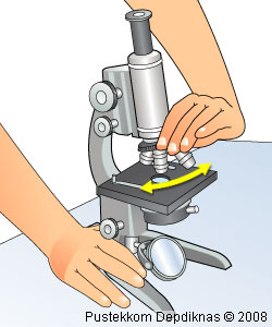 Cara Menggunakan Mikroskop  Cahaya Potret Cerita