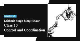 Solutions of Control and Coordination Lakhmir Singh Manjit Kaur VSAQ, SAQ and LAQ Pg No. 92 Class 10 Biology