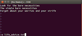 Vim write file