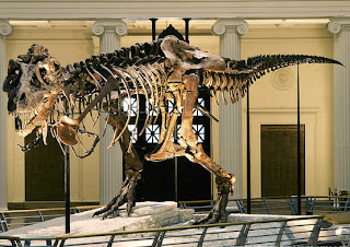 10 Museum Dinosaurus Terkeren Di Dunia