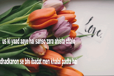 urdu shayari mohabbat