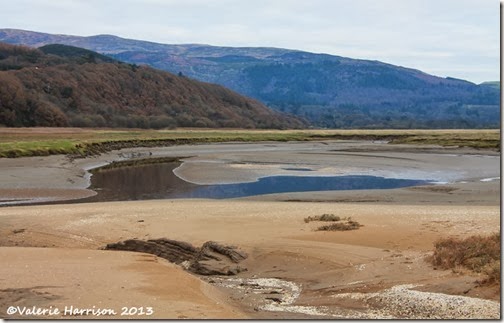 28-estuary