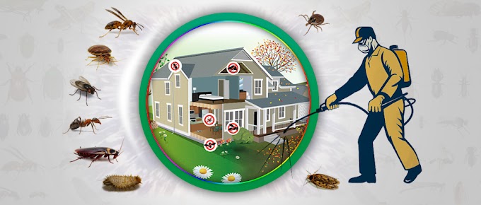  Pest Extermination Guide: Eradicating Pests Effectively