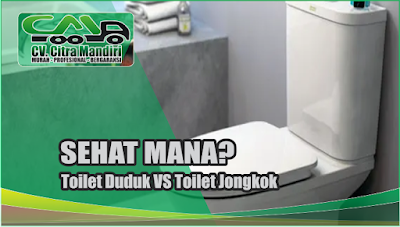 Lebih Sehat Mana WC Jongkok atau Duduk?