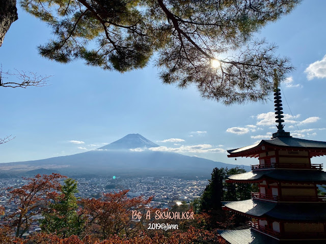 富士吉田市新倉山淺間公園眺望富士山和五重塔