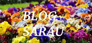 Blog Sarau