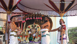 Aadi Sesha Vahanam,Purappadu, Brahmotsavam,Sri Parthasarathy Perumal,Chithirai, Triplicane,   Thiruvallikeni, Utsavam