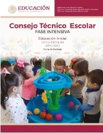 Consejo Técnico Escolar 2019-2020 Fase Intensiva Educación Inicial