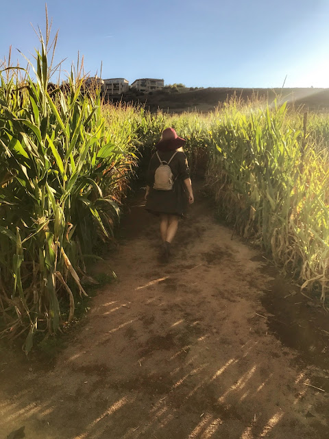 Fun Fall Corn Maze in San Diego