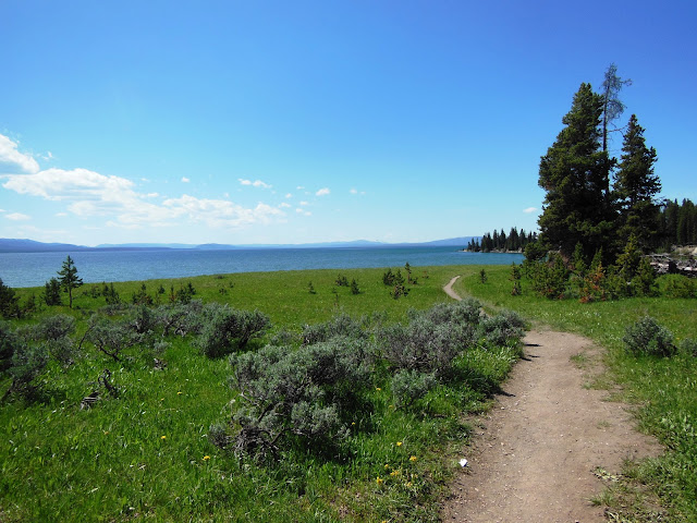 Storm Point Hiking Trail Yellowstone National Park