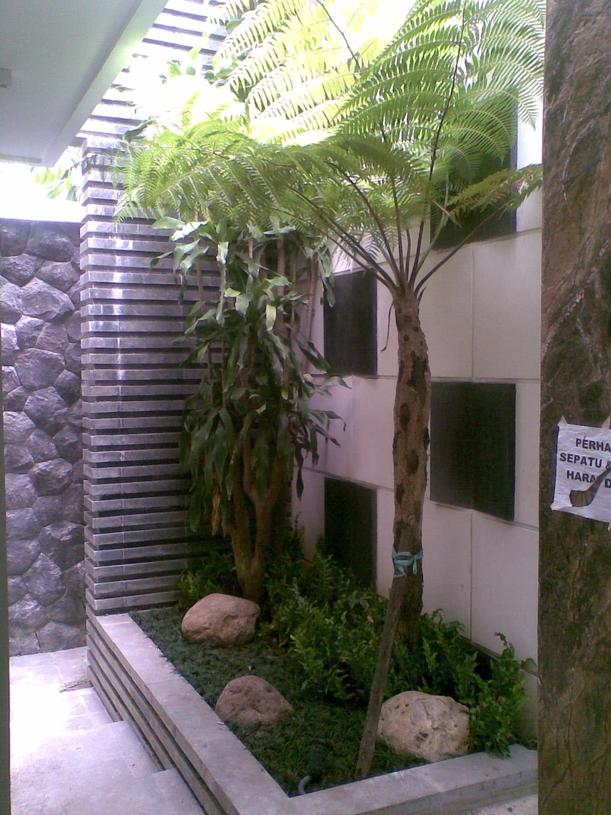 Rumah Lama Teras