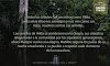 Documental 'Árbol de vida y muerte' de Alex Rufino Parente disponible en Netflix para más de 90 países