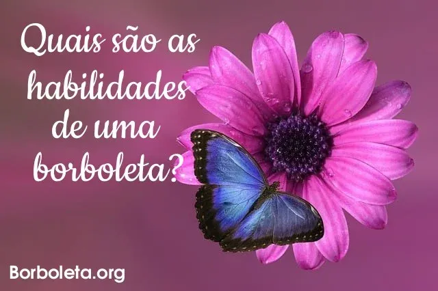 Quais são as habilidades de uma borboleta?