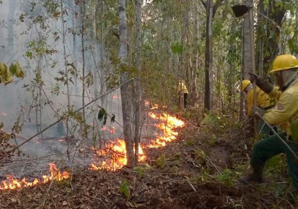 Incêndio em Santa Cruz Cabrália. Foto: Ascom/ Santa Cruz de Cabrália