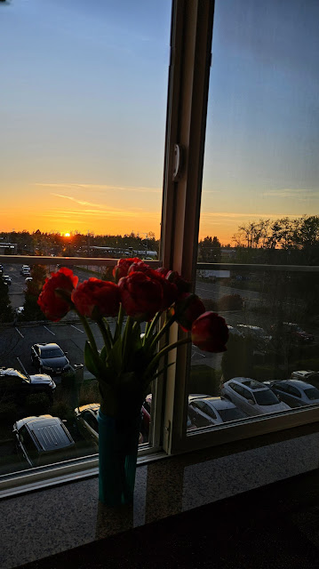 Hotel window view nice sunset sky