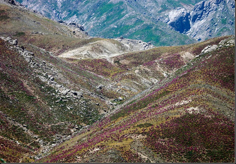 landscape-3