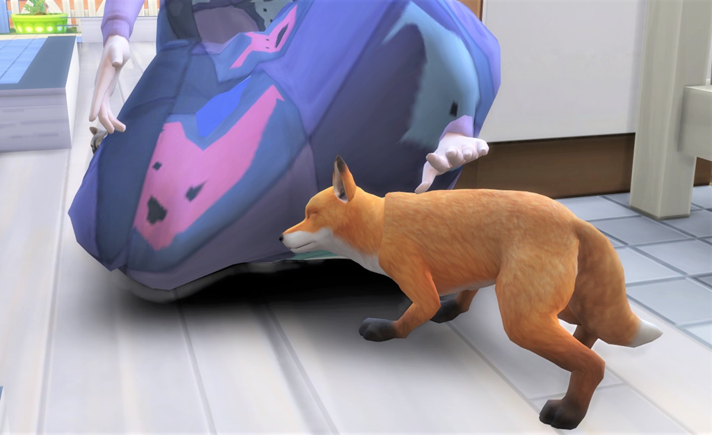 9 犬 キツネ と子猫 アライグマ がいる生活 Cats Dogs フルーツケーキに熱中 Sims4プレイ日記